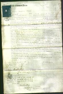 Court of Common Pleas - Elizabeth Cox Onhard-Original Ancestry