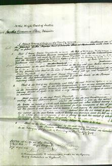 Court of Common Pleas - Annie Elizabeth Williams-Original Ancestry