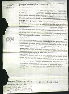 Court of Common Pleas - Ann Grove Collett-Original Ancestry