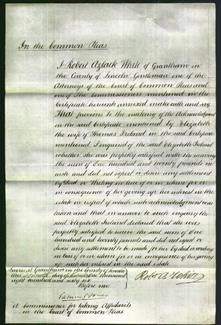 Court of Common Pleas - Elizabeth Ireland-Original Ancestry