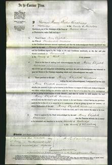 Court of Common Pleas - Mary Elizabeth Andrews-Original Ancestry