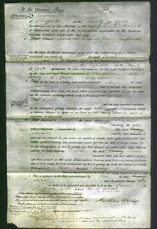 Court of Common Pleas - Sarah Shepherd-Original Ancestry