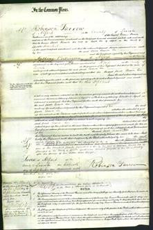 Court of Common Pleas - Sarah Eleanor Lee-Original Ancestry
