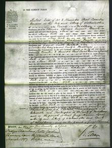 Court of Common Pleas - Ann Sich-Original Ancestry