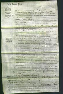 Court of Common Pleas - Martha Salter-Original Ancestry