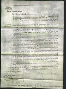 Court of Common Pleas - Mary Ann Sands-Original Ancestry