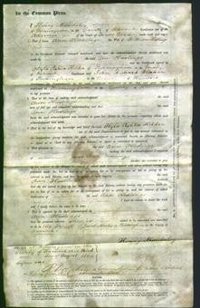 Court of Common Pleas - Ann Hastings-Original Ancestry