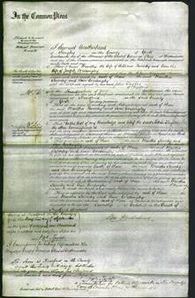 Court of Common Pleas - Martha Bwinley and Ann Cordingly-Original Ancestry