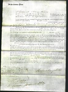 Court of Common Pleas - Sarah Butler-Original Ancestry