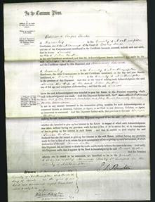 Court of Common Pleas - Louisa Butlin-Original Ancestry