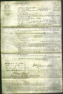 Court of Common Pleas - Eliza Munday-Original Ancestry