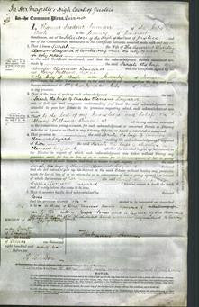 Court of Common Pleas - Sarah Layland-Original Ancestry