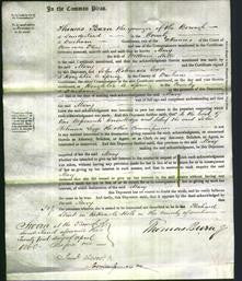 Court of Common Pleas - Mary Mills-Original Ancestry