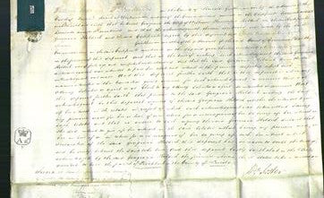 Court of Common Pleas - Georgiana Holdich-Original Ancestry