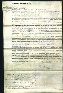 Court of Common Pleas - Eliza Mulholland-Original Ancestry