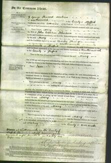 Court of Common Pleas - Mary Johnson-Original Ancestry
