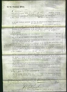 Court of Common Pleas - Sarah Jevons-Original Ancestry