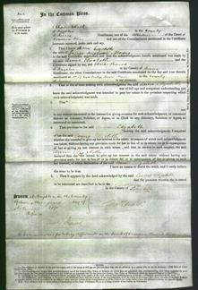 Court of Common Pleas - Anne Elizabeth Moore-Original Ancestry