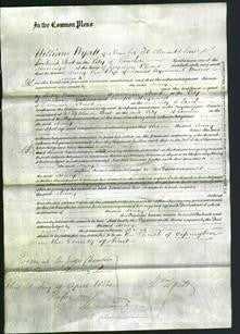 Court of Common Pleas - Mary Harris-Original Ancestry