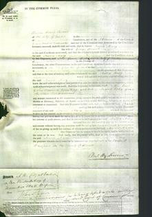 Court of Common Pleas - Maria Mary Howell-Original Ancestry