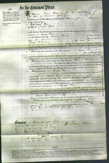 Court of Common Pleas - Ann Cook-Original Ancestry