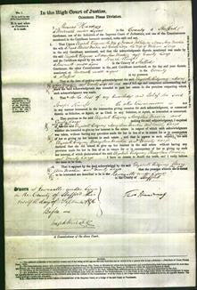 Court of Common Pleas - Elizabeth Ridgway, Mary Ann Mackin and Emily Large-Original Ancestry
