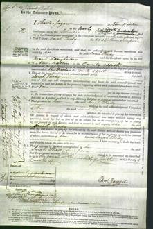 Court of Common Pleas - Sarah Thedy Simpson-Original Ancestry