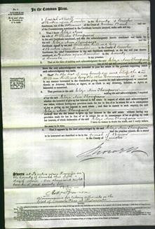 Court of Common Pleas - Eliza Ann Thompson-Original Ancestry