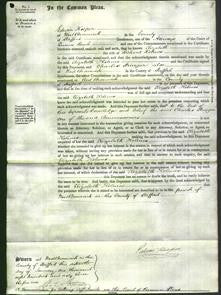 Court of Common Pleas - Elizabeth Holmes-Original Ancestry