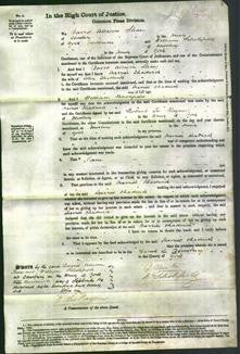 Court of Common Pleas - Harriet Chadwick-Original Ancestry