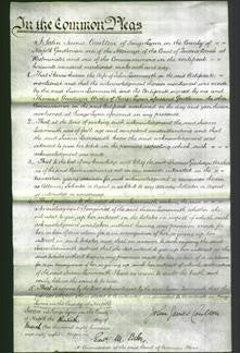 Court of Common Pleas - Susan Learmouth-Original Ancestry