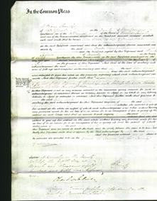 Court of Common Pleas - Ellen Clarke-Original Ancestry