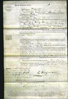 Court of Common Pleas - Mary Pawley-Original Ancestry