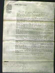 Court of Common Pleas - Ruth Louisa Thrupp-Original Ancestry