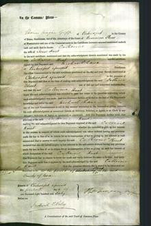 Court of Common Pleas - Catherine Hunt-Original Ancestry