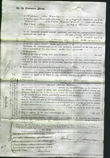 Court of Common Pleas - Mary Robinson-Original Ancestry