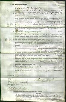 Court of Common Pleas - Dame Emily Seale-Original Ancestry