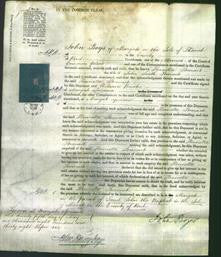 Court of Common Pleas - Henrietta Stranack-Original Ancestry