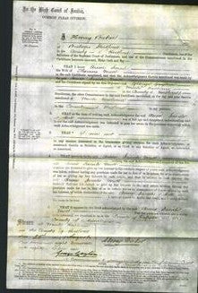 Court of Common Pleas - Anne Sarah Mott-Original Ancestry