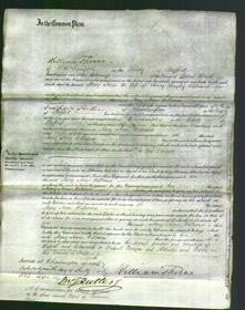 Court of Common Pleas - Mary Anne Williams-Original Ancestry