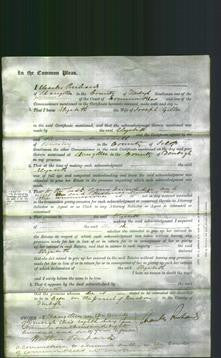 Court of Common Pleas - Elizabeth Giller-Original Ancestry