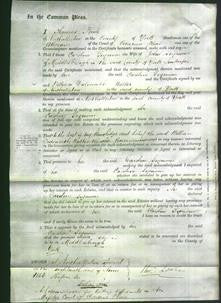 Court of Common Pleas - Caroline Seymour-Original Ancestry