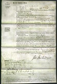 Court of Common Pleas - Frances Jane Taylor-Original Ancestry