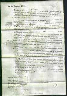 Court of Common Pleas - Sarah Ann Dean-Original Ancestry