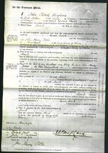 Court of Common Pleas - Sarah Saunders-Original Ancestry