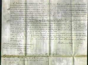 Court of Common Pleas - Augusta Ellinor Pocock-Original Ancestry