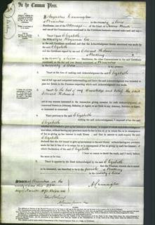 Court of Common Pleas - Elizabeth Eve-Original Ancestry