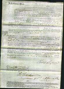 Court of Common Pleas - Mary Medland-Original Ancestry