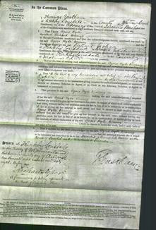 Court of Common Pleas - Agnes Hyde Wearing-Original Ancestry