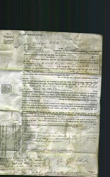 Court of Common Pleas - Helen Avery-Original Ancestry